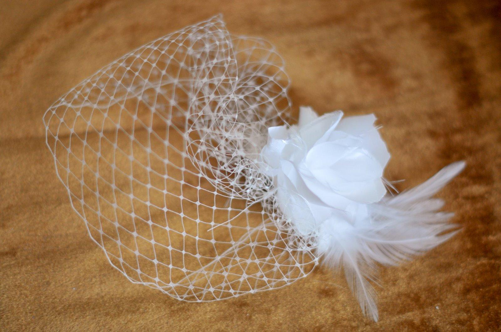 Wedding Veil: Birdcage