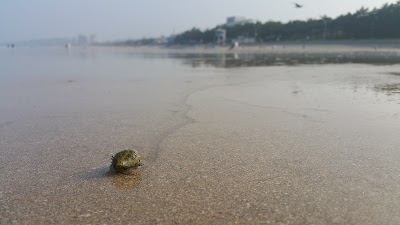 Photos of 대천솔밭야영장