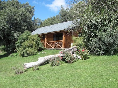 Photos of COSTA TRAFUL