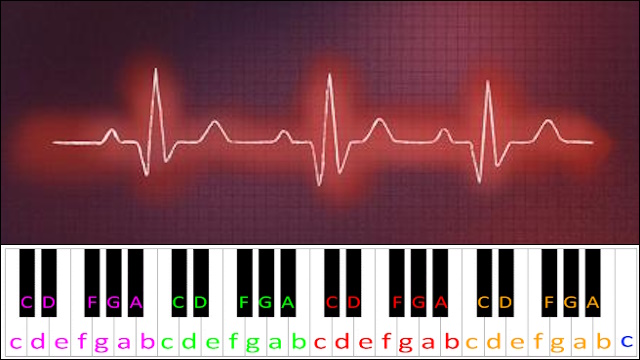 PULSE by Tony Ann Piano / Keyboard Easy Letter Notes for Beginners