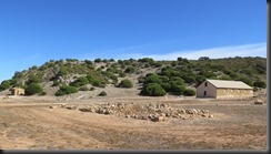 170506 013 Lynton Port Gregory Convict Hiring Station