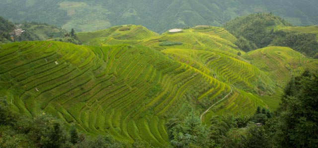 YANGSHUO – HANGZHOU (Arrozales de Longji, Poblado Ping’An Zhuang) - CHINA EN MI RETINA (20 DÍAS, SEPTIEMBRE 2015) (1)