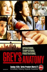 Greys Anatomy 8x24 Sub Español Online