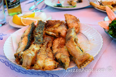 Sakarya, Karasu, Yenimahalle'deki Ahmet Ali'nin Yeri'ndeki kalkan