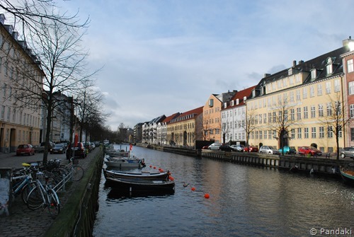 DSC_0393 DSC_0393