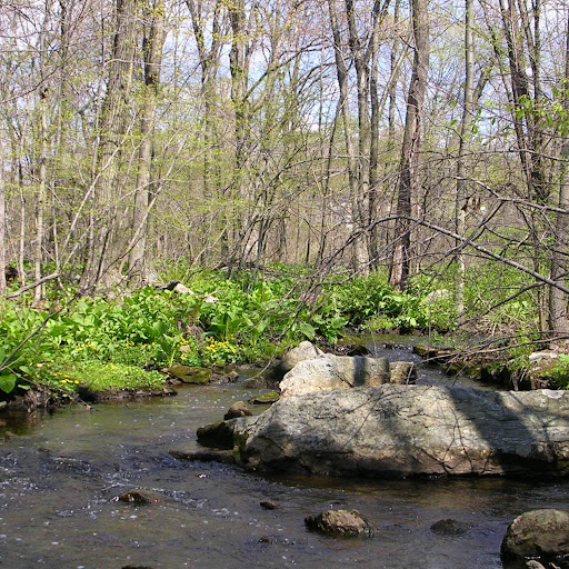 Mass Audubon's Broad Meadow Brook Conservation Center and Wildlife Sanctuary