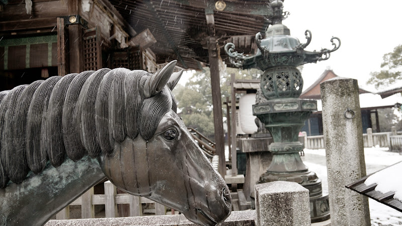 金比羅参り 写真19