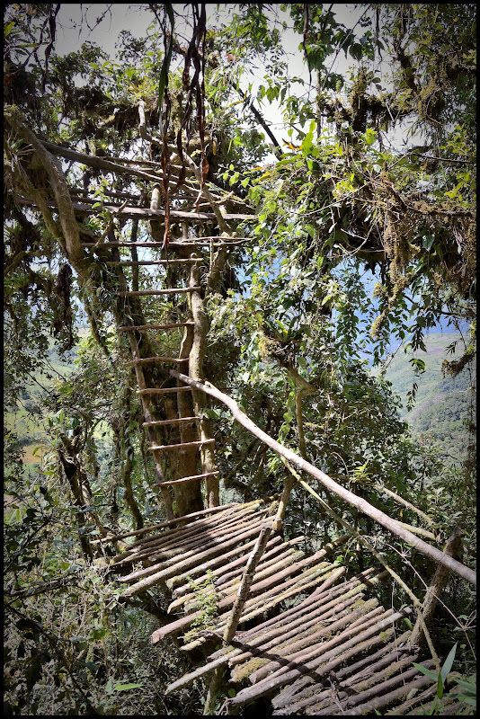 SARCÓFAGOS SAN JERÓNIMO - MÁGICO Y ENIGMÁTICO PERÚ/2016. (15)