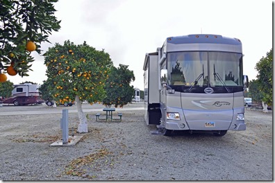 Orange Grove RV Park