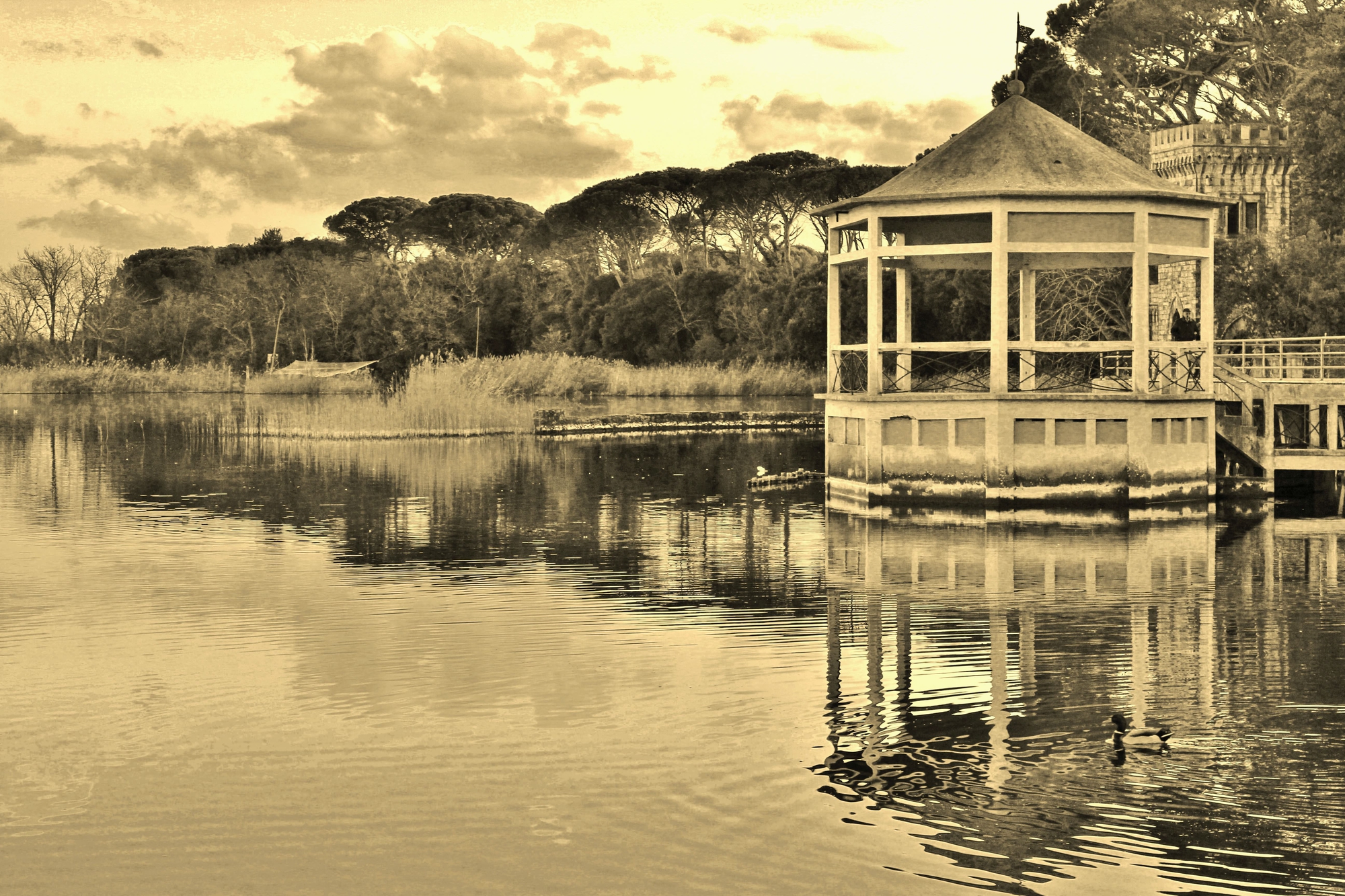 Il gazebo sul Lago di Massaciuccoli di Emme Photo