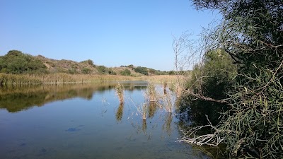 Photos of אגם ניצנים