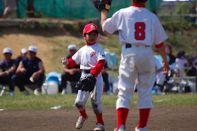 Picasa