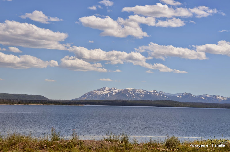 yellowstone 