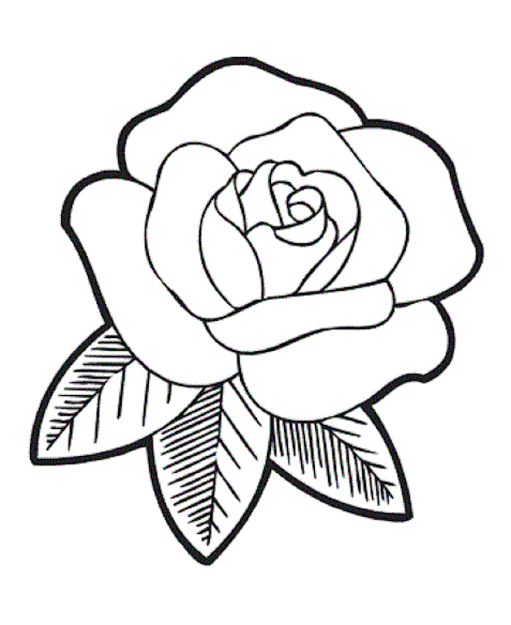 Featured image of post Rose Realistic Flower Coloring Pages / Roses are beautiful flowers with sharp prickles.