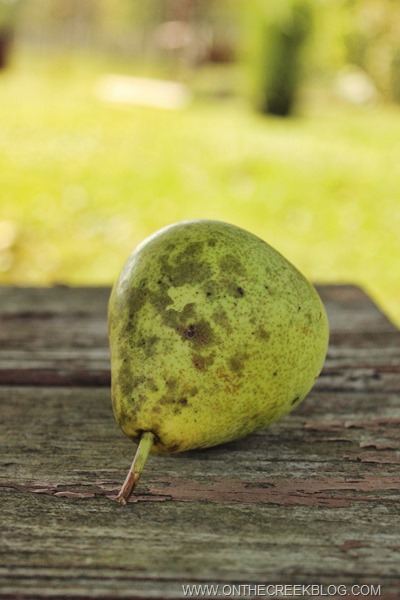 Bartlett Pears