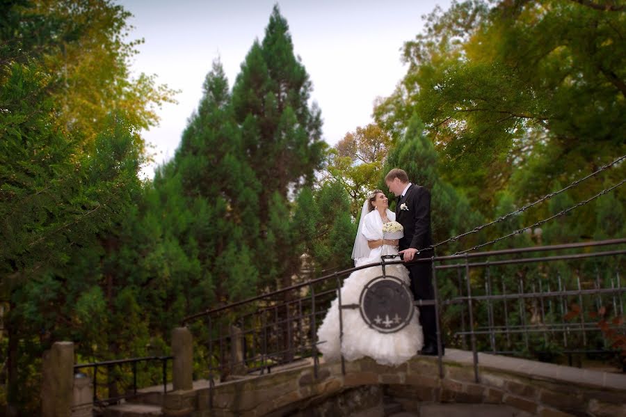 Wedding photographer Elena Kopytova (novoross). Photo of 15 July 2013