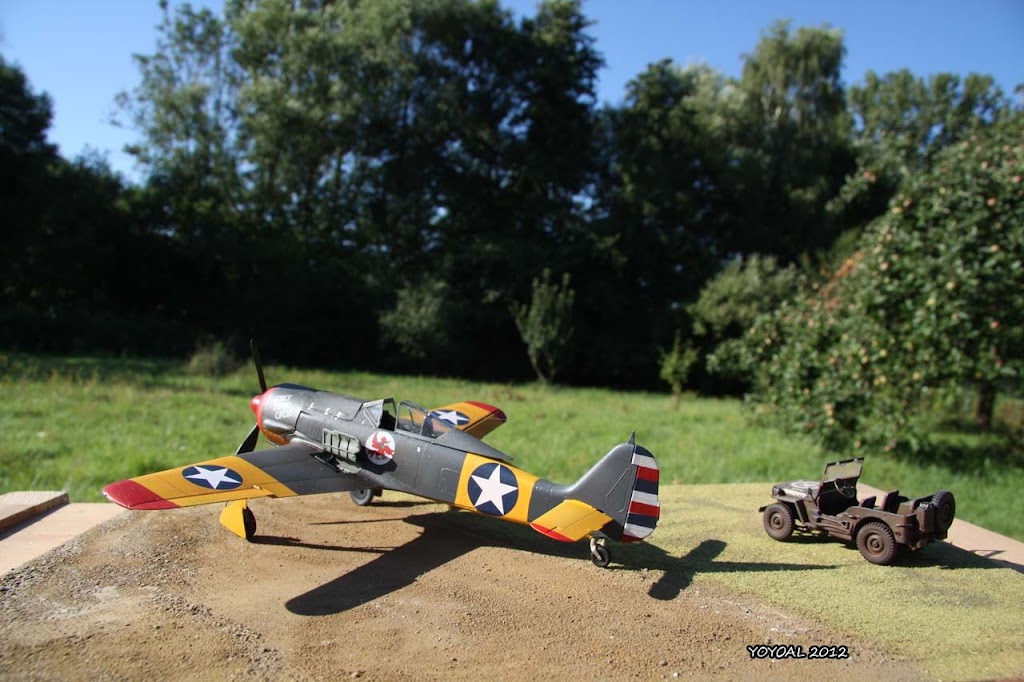 Fw190 sous les étoiles.... IMG_0193