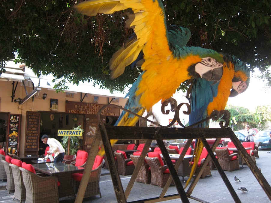 Осенний круиз по Восточному Средиземноморью на Costa Fascinosa, ноябрь 2012