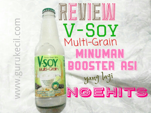 Review V Soy Multi Grain Minuman Booster Asi Yang Lagi Ngehits Gurukecil