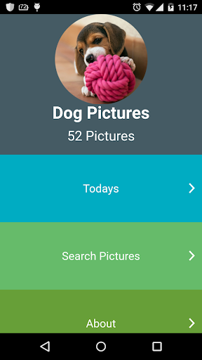 Dog Pictures