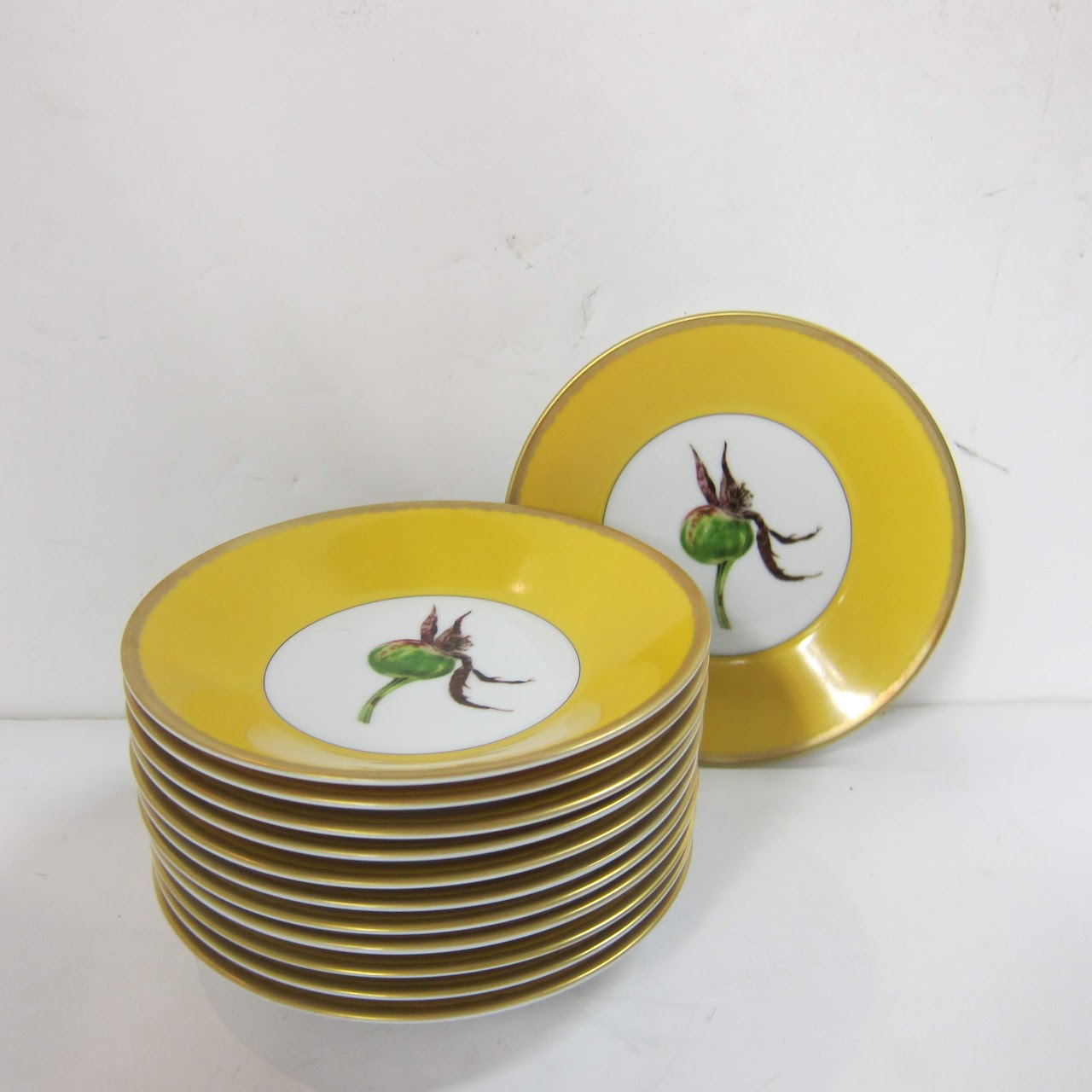Robert Haviland "Les Roses de Tuscia par Nall" Limoges Dish Lot