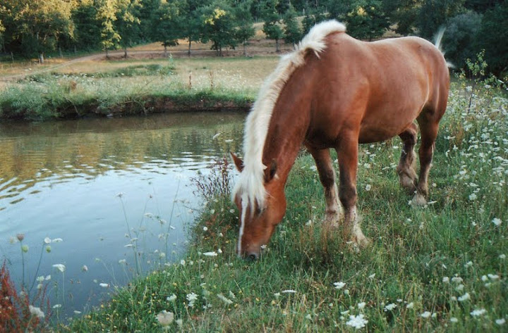 Vacances Lozère-Aveyron-Aubrac  Img296