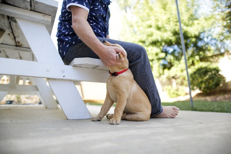 orange county family lifestyle photography-9