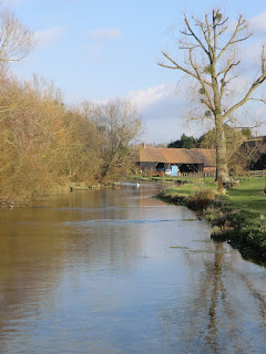 CIMG1717 River Test at Tufton