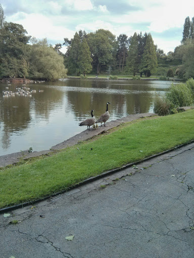 Queen's Park