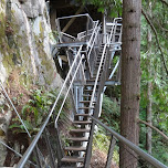 the cliffwalk at the Capilano Suspension Bridge in North Vancouver, Canada 