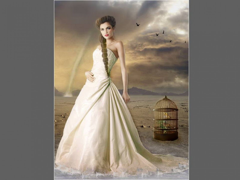 Bride Of White Desert, Brides