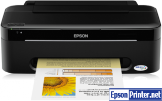 How to reset flashing lights for Epson S22 printer