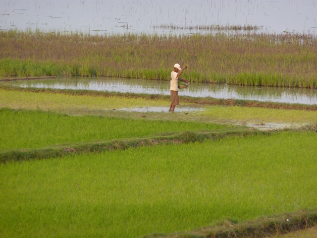 Blog de voyage-en-famille : Voyages en famille, Phnom Penh - Kampong Chhnang