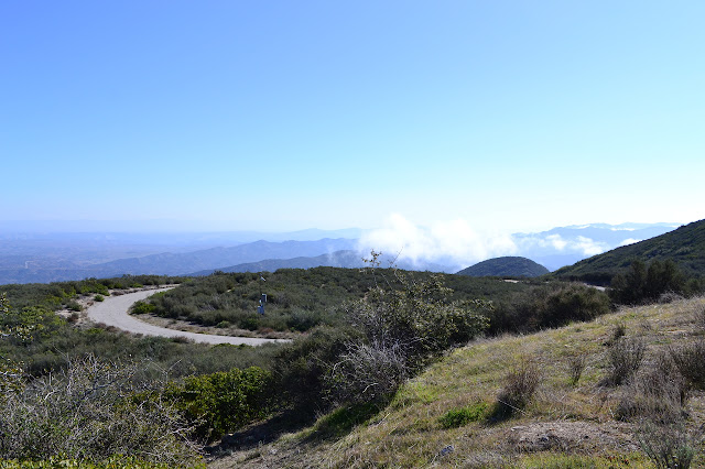 The last few twists of the road to the top of Black Mountain