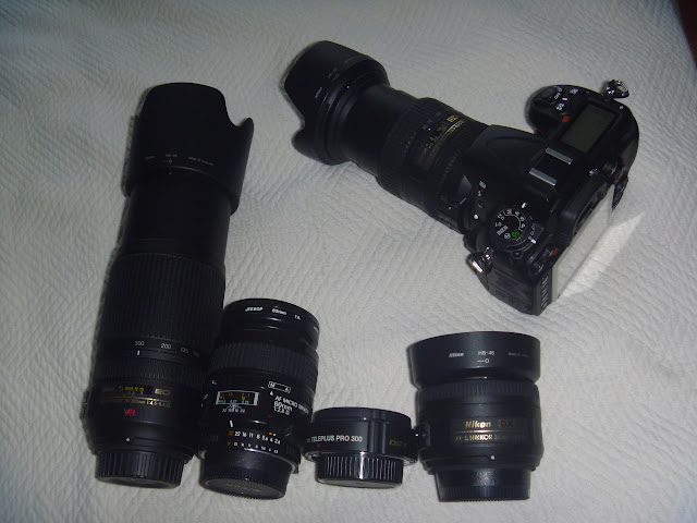 P1010875.JPG