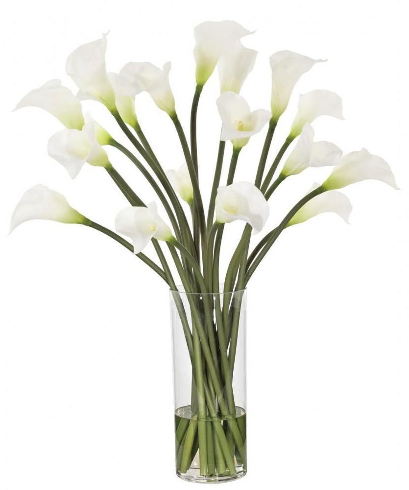 Calla Lily   Glass Cylinder  