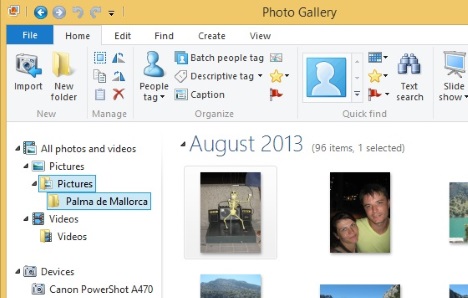 Windows, Galería de fotos, importación, fotos, videos, cámara digital