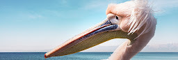 Profile cover photo