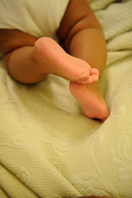 Picasa