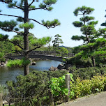 gorgeous park at the Shinagawa Aquarium in Shinagawa, Japan 