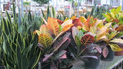 Photos of Parkway Garden Centre