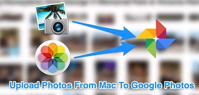 Upload Photos From Mac To Google Photos 