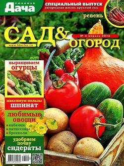 Читать онлайн журнал<br>Любимая дача. Спецвыпуск №4 2016<br>или скачать журнал бесплатно