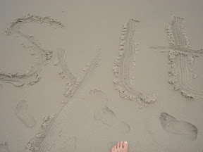 Picasa