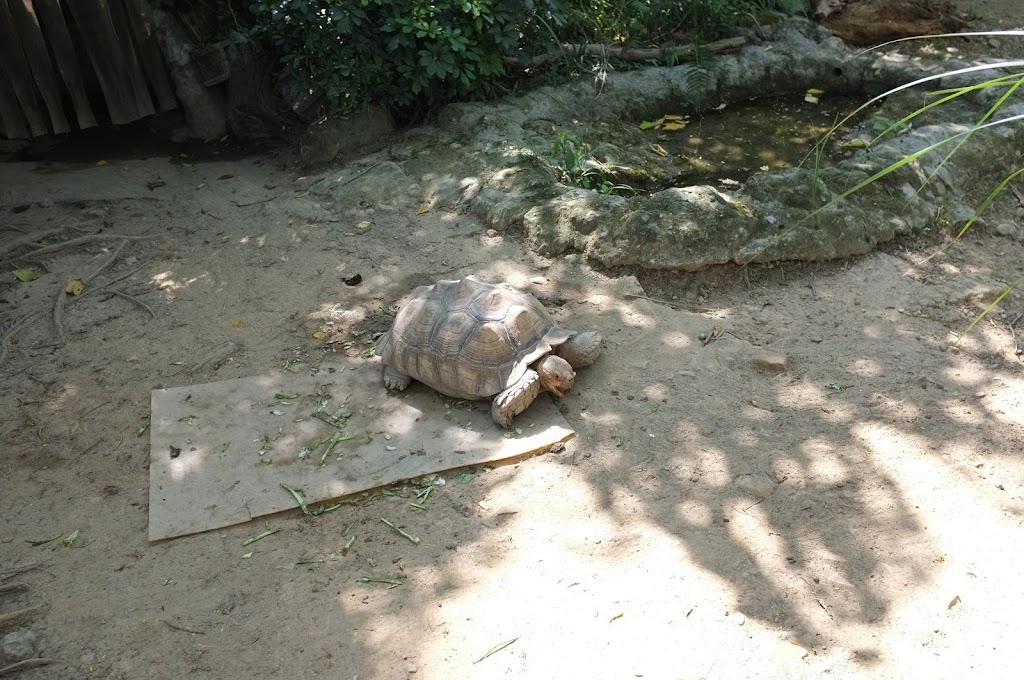 Taipei zoo