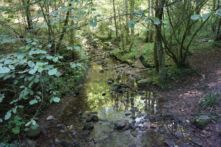 Las Xanas y Valdolayés (Santo Adriano-Quirós) - Descubriendo Asturias (14)