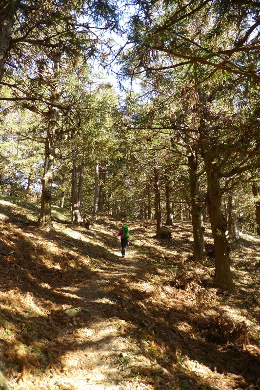 2014_0118 鳶嘴山西北稜→大崠山來回_009