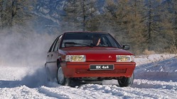 Citroen 1989 BX 4x4