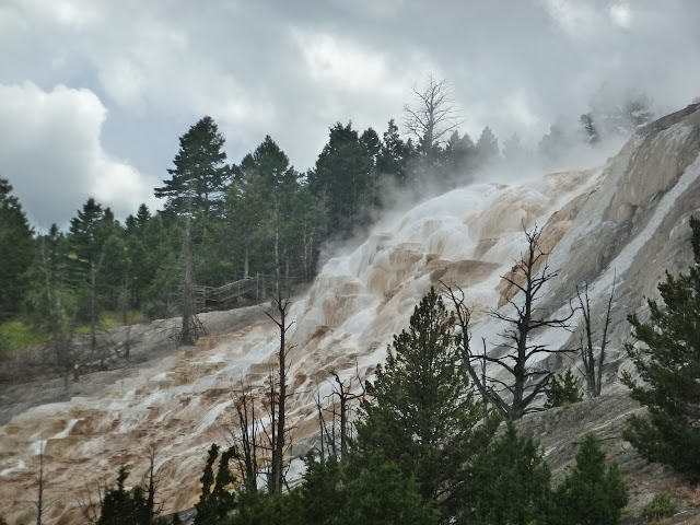 Mammoth Hot Springs. Valle de Lamar. Calcite Springs. Tower Falls. 12 Julio - LAS ROCOSAS DE CANADA. YELLOWSTONE Y GRAND TETON. (24)