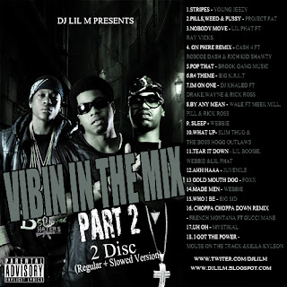 Dj Lil M Mixtapes Vibin In The Mix Series